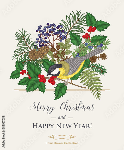 Christmas card with a bird and winter plants. Hand drawn tit, holly, spruse, pine branch and elderberry. Colorful vector illustration. Vintage engraving style.