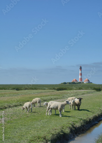 am bekannten Leuchtturm von Westerhever in Nordfriesland,Schleswig-Holstein,Deutschland photo