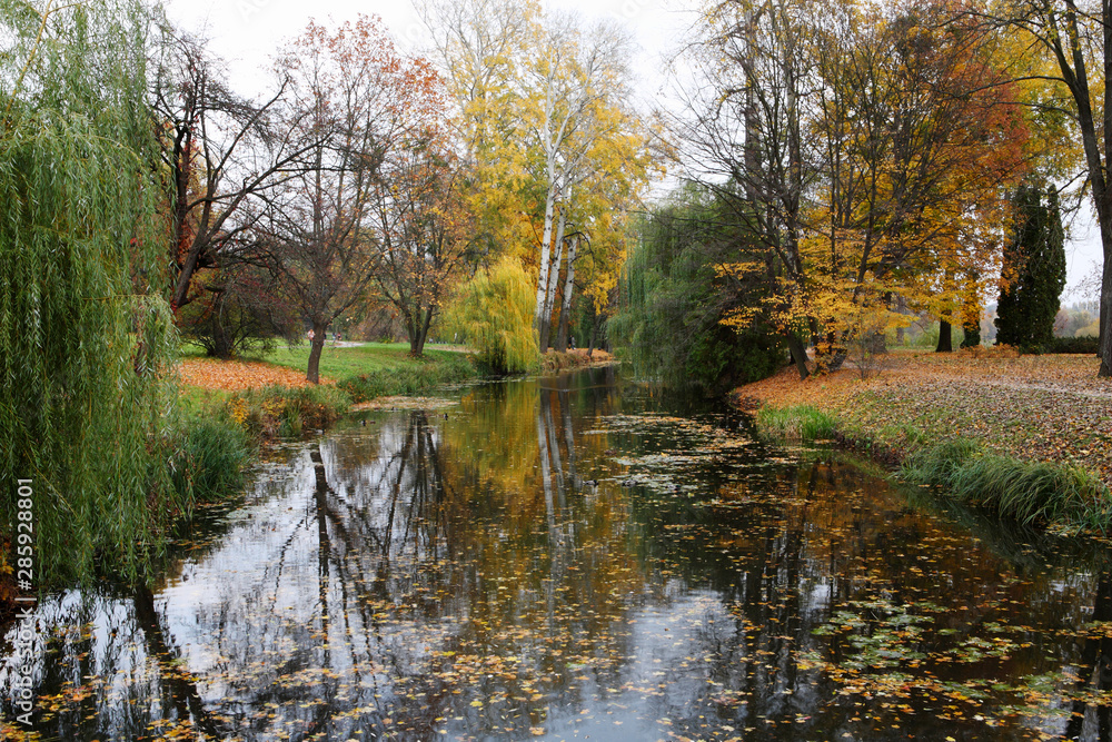 Lake in autumn park