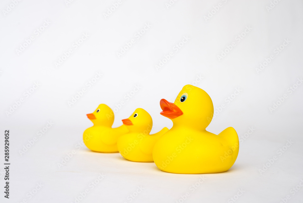 Yellow rubber duck isolated on white background Yellow rubber duck isolated on white background