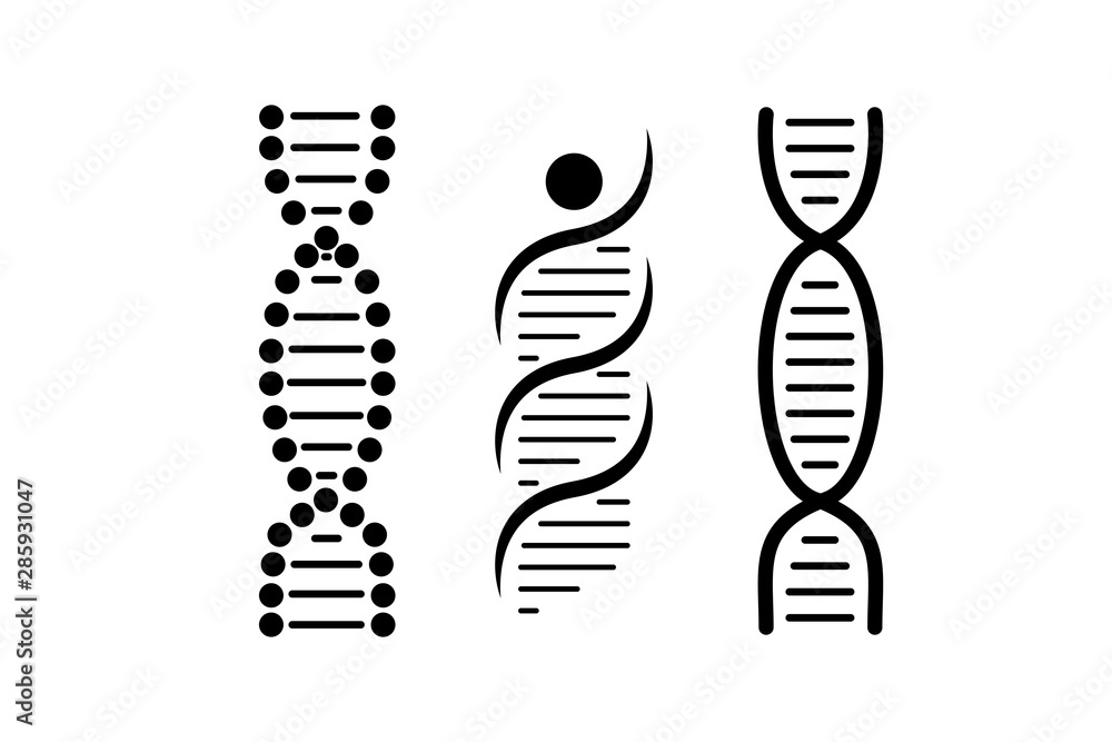 Dna vector Black lines white background Dna vector Black lines white background