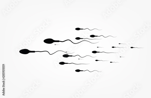 Abstract sperm icon, sperm icon and sperm vector that runs towards the egg. On a white background, competition concept