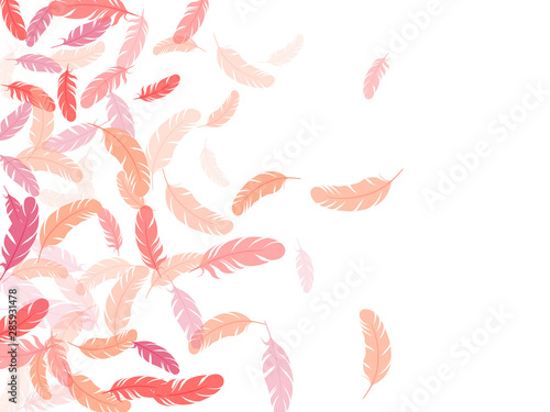 Fluffy twirled feathers on white design.