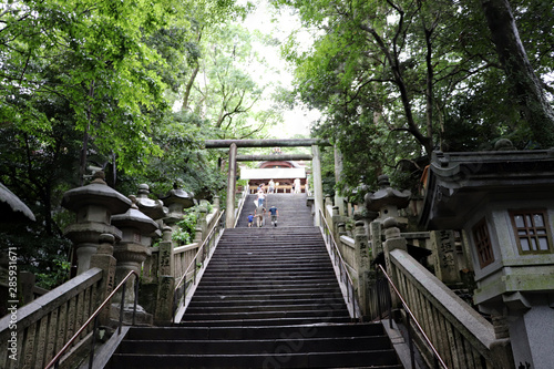 神社の参道の終点 photo