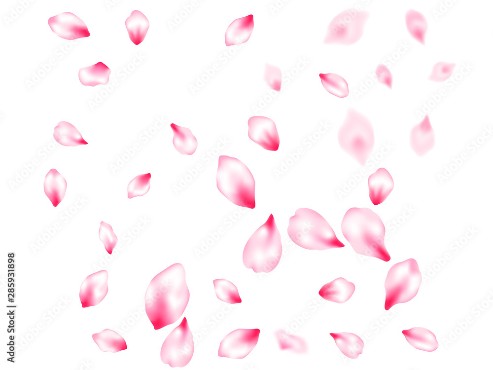 Spring tree flowers parts, airy flying petals Spring tree flowers parts, airy flying petals
