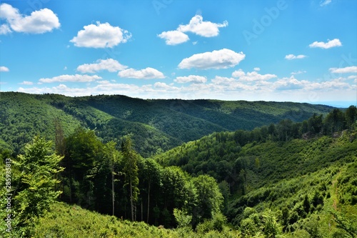 summer landscape in the Calimani mountains