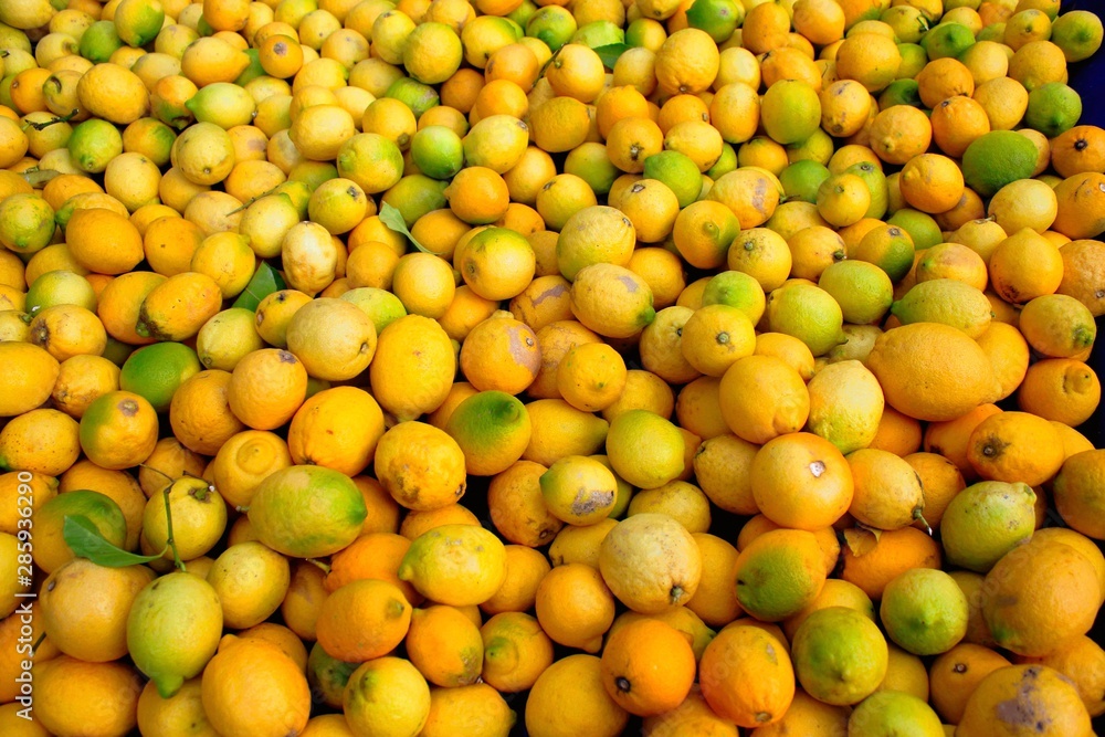 Oranges in the market