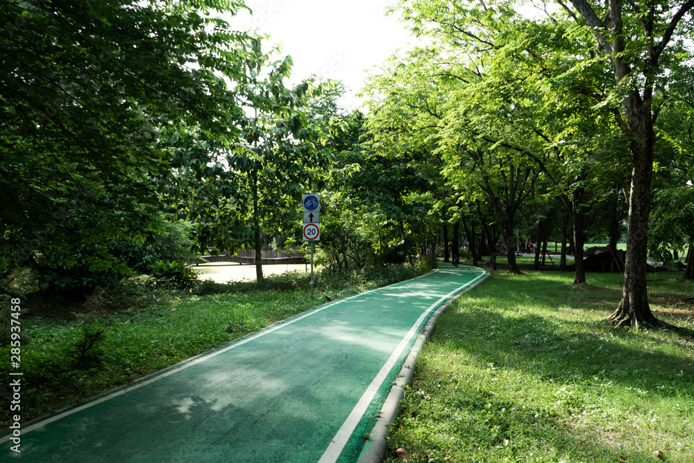 A bike lane for cyclist. Bicycle lane in the park