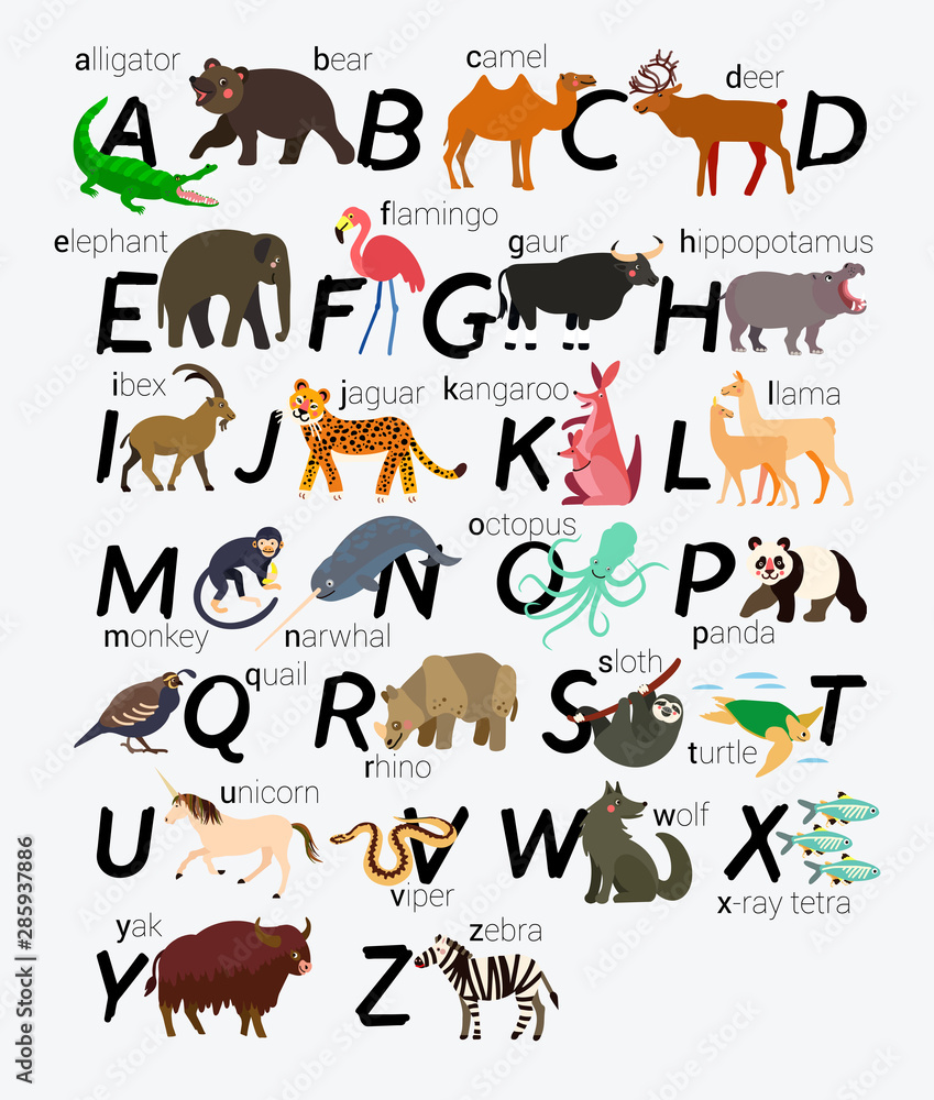 Animal Alphabet for Children and Kids. Vector.