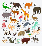 Animal Alphabet for Children and Kids. Vector.