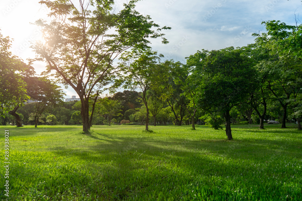 Image of green garden background in the park