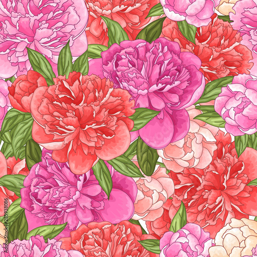 Seamless floral pattern with pink and coral peony flowers