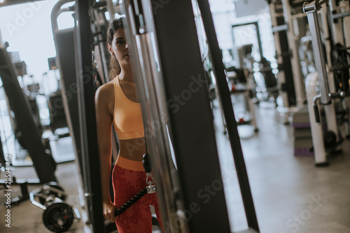 Young sporty woman working ...