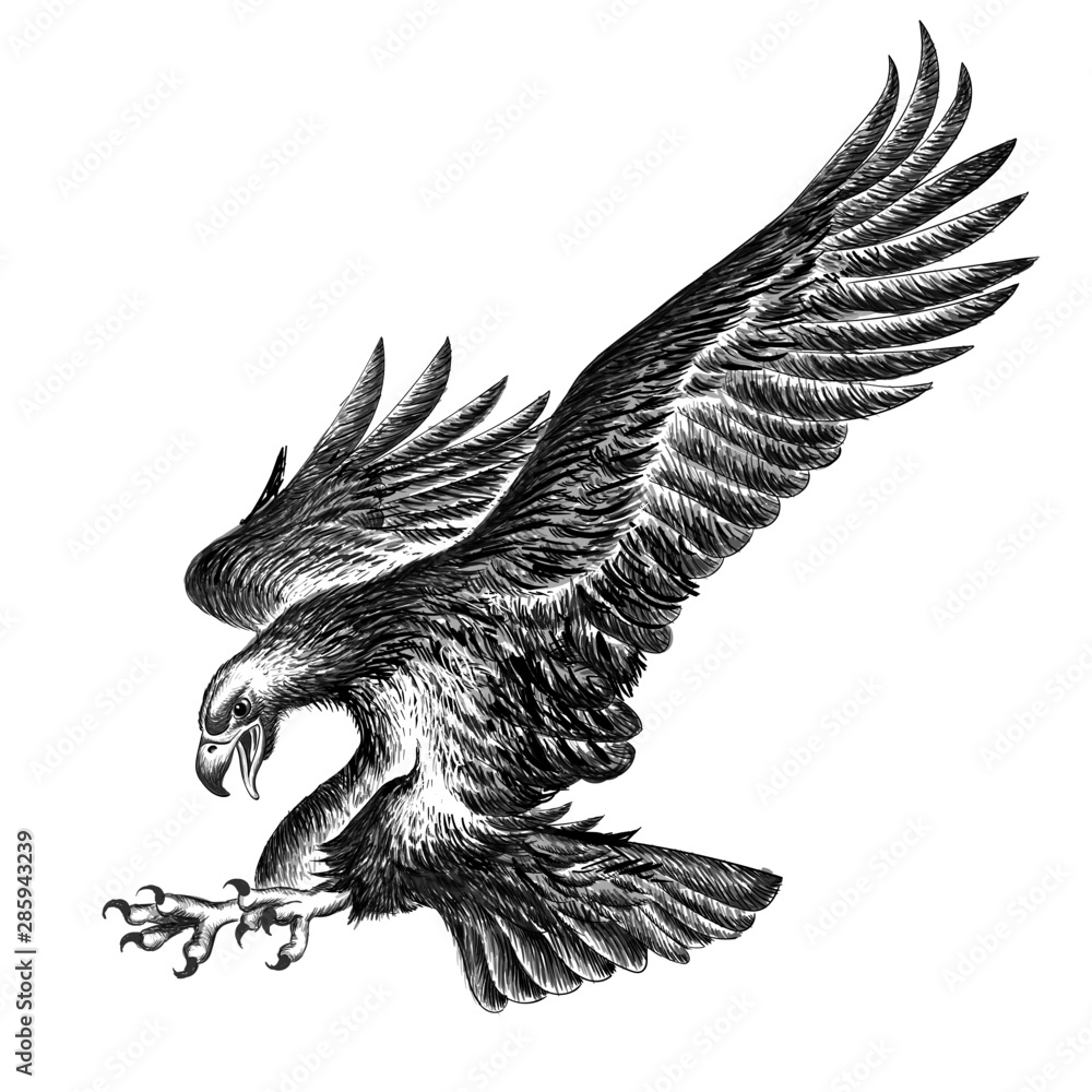 Fototapeta The Vector logo of fly eagle for tattoo or T-shirt design or outwear. Hunting style eagle background.
