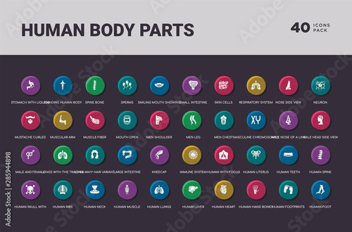 human body parts concept 40 colorful round icons set