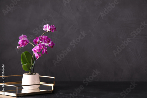 Flowerpot with blooming orchid on black stone table against dark background  space for text