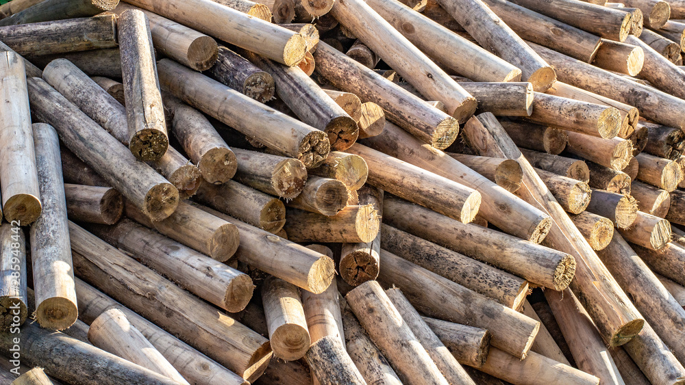 Waste wood industry used as firewood Waste wood industry used as firewood