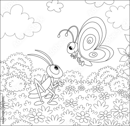 Funny butterfly and a grasshopper friendly talking among wildflowers on a field on a pretty summer day  black and white vector illustration in a cartoon style