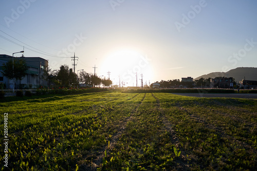 A view of a field during sun down in Jechun, South Korea. photo