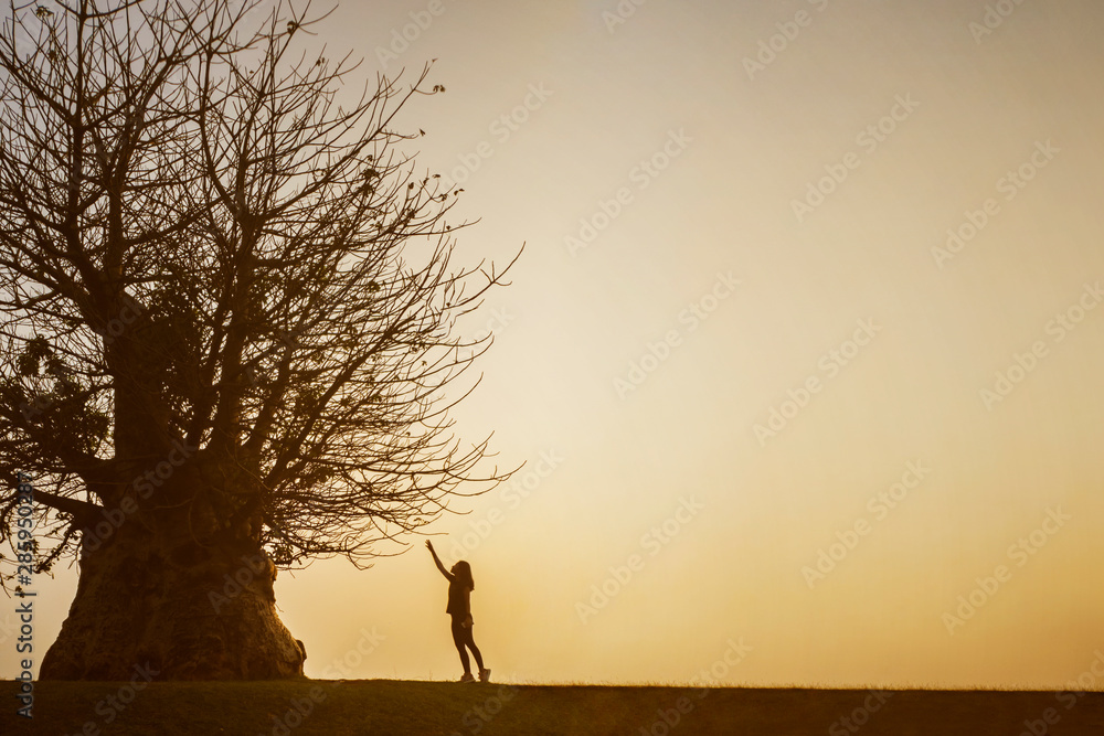 Young woman want to hold branch of big tree