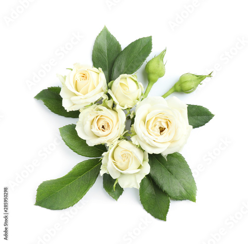 Beautiful blooming rose flowers on white background  top view