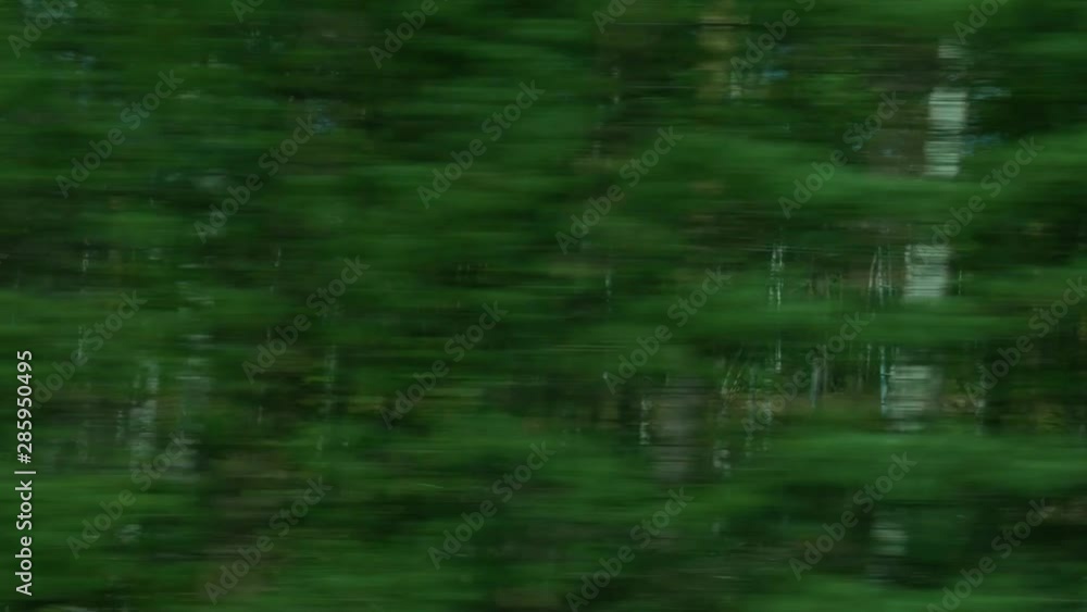Travel with train in forest. Windows seat. Fast moving between trees. View from inside. Travel with train in forest. Windows seat. Fast moving between trees. View from inside.