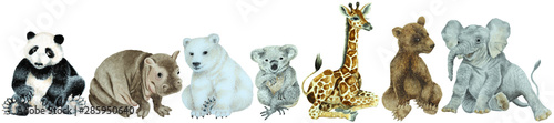 Set of the baby hippo, giraffe, brown bear, koala, polar bear, panda, elephant on a white background, hand drawn watercolor. © EllSan