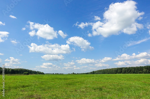 Beautiful countryside landscape. Green field and blue sky with clouds.