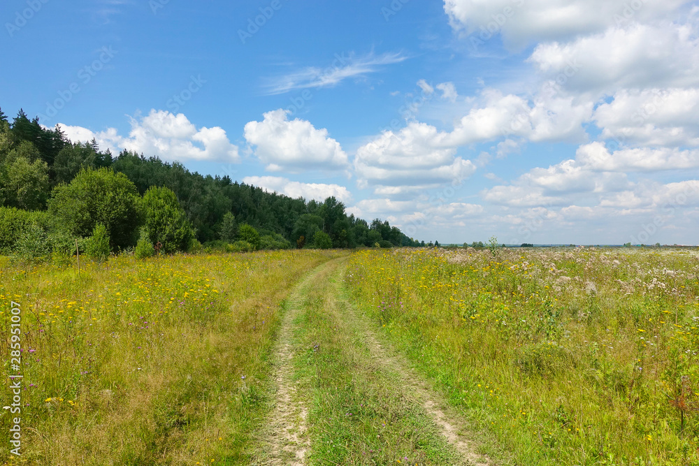Colorful rural landscape. Country road in a green grass field. The sky with clouds. Colorful rural landscape. Country road in a green grass field. The sky with clouds.