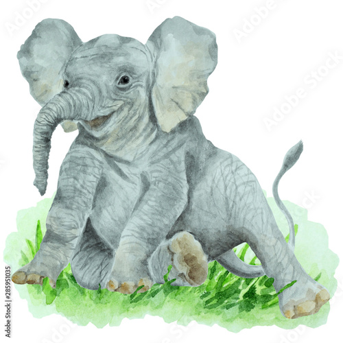 Baby elephant on a green grass, white background, hand drawn watercolor. © EllSan
