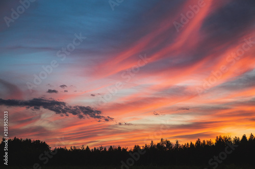 Fototapeta Naklejka Na Ścianę i Meble -  sunset in the sky