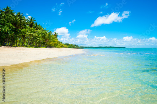 Palm trees swaying along an empty tropical Brazilian island beach on a remote island in Bahia Brazil