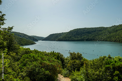 A sneak peak on a coastal line of Croatian fjord. A view on the fjord through the crown of the trees. Steep slopes going down straight to the water. Hills are covered with lush green plants. Overcast.