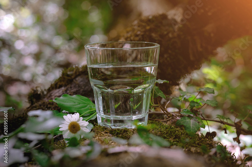 A glass of clean water, on the nature. Concept of a healthy lifestyle