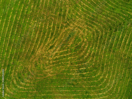 Cut grass pattern in a field. Aerial top view.