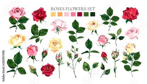 Set of pale pink red yellow roses flowers buds green leaves