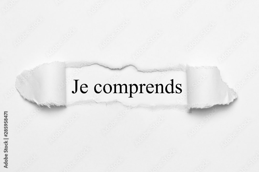 Je comprends Je comprends