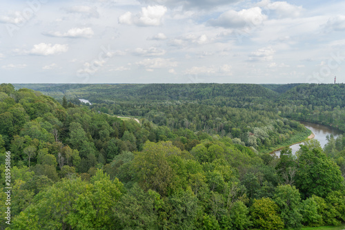 Aerial view of beautiful green forest, Latvia