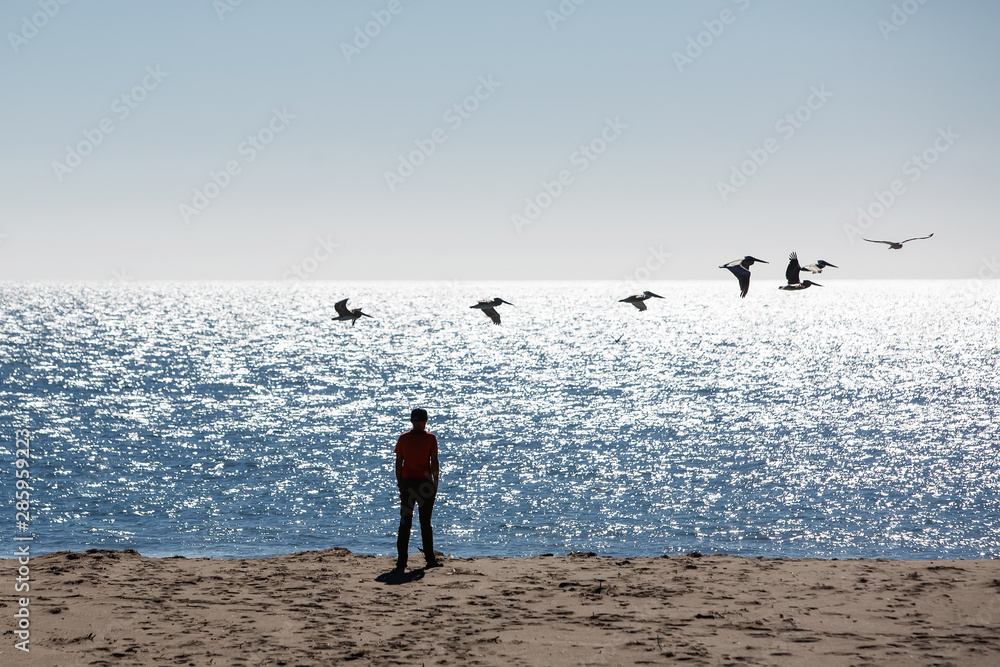 Happy and free boy on the beach with seagulls