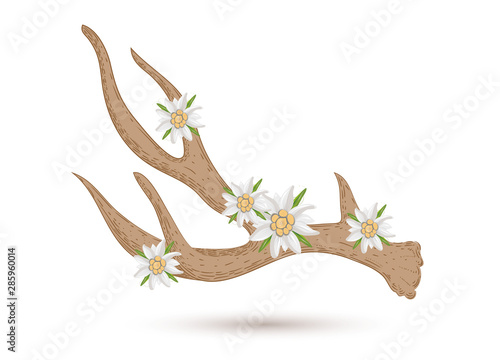 Geweih mit Edelweiß