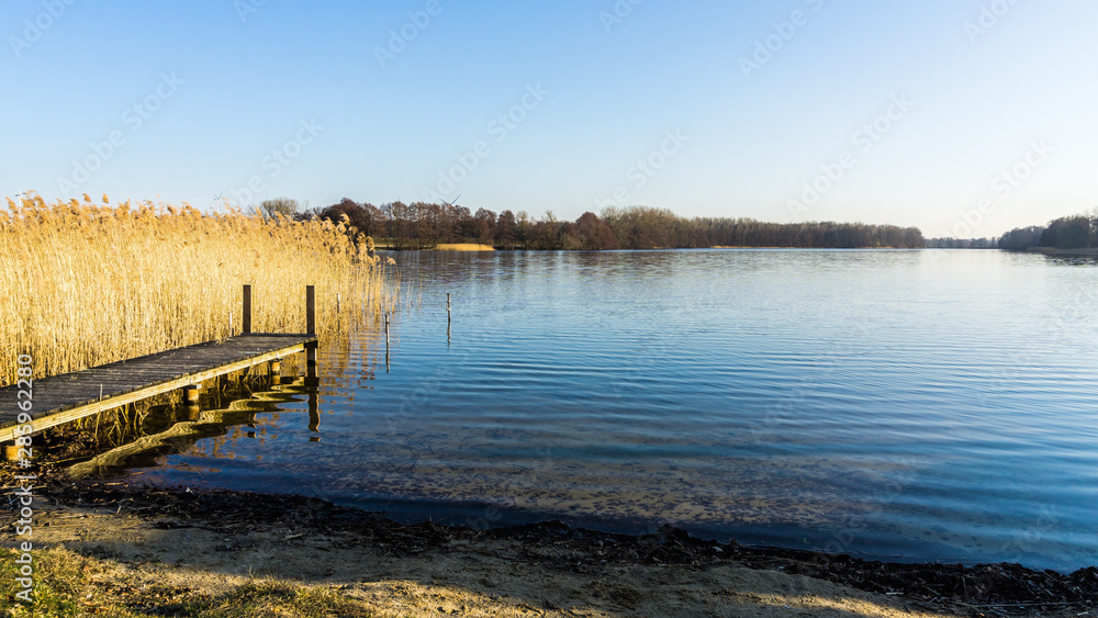 Naklejka premium Landschaft mit Steg und Schilfgras an einem See