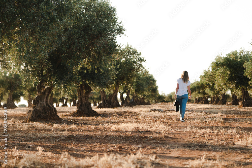 Young woman with a laptop case through the olive tree field