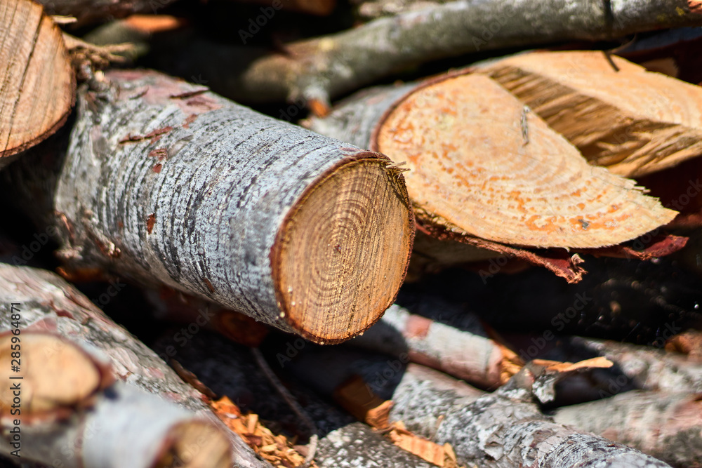 Photo of a woodpile in the field Photo of a woodpile in the field