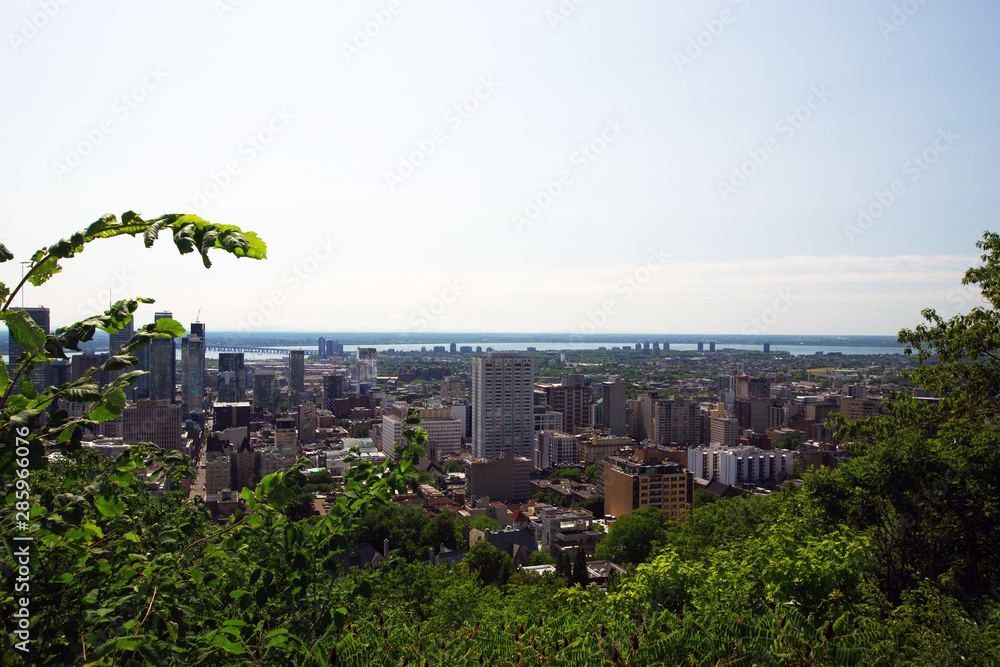 Fototapeta premium Montréal, balade au Mont Royal