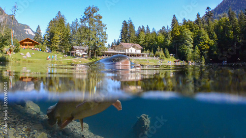 blausee lake  switzerland