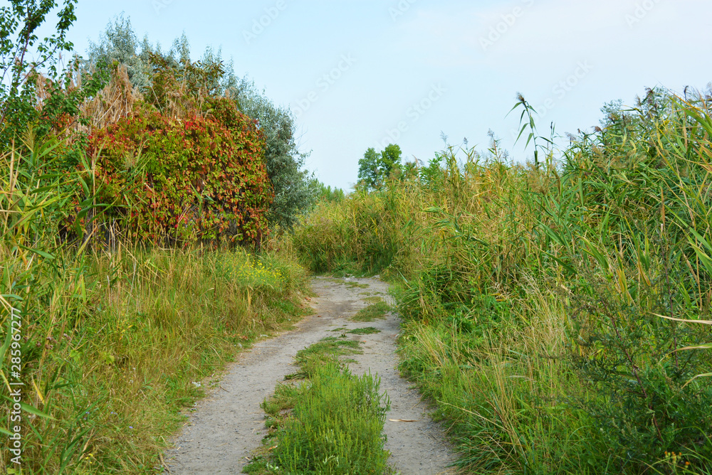 Beautiful natural background with an unusual landscape and forest beauty near the Samara River. Green hills, trees, shrubs with bright sky in the Shevchenko housing estate, Dnipro city, Ukraine. Beautiful natural background with an unusual landscape and forest beauty near the Samara River. Green hills, trees, shrubs with bright sky in the Shevchenko housing estate, Dnipro city, Ukraine.