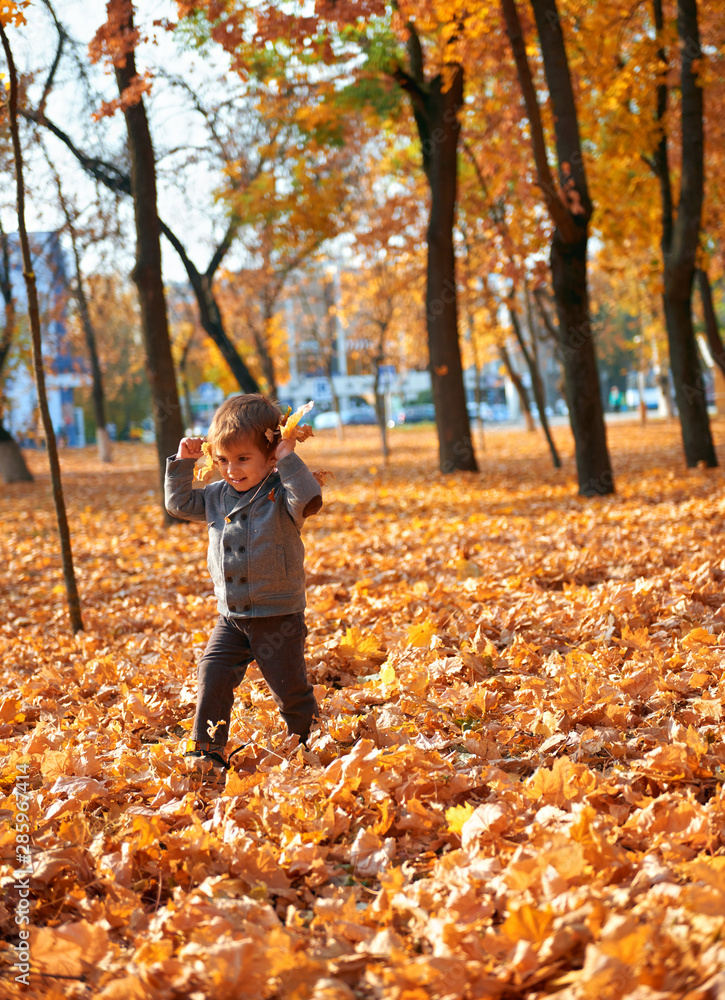 Happy child playing, posing, smiling and having fun in autumn city park. Bright yellow trees and leaves Happy child playing, posing, smiling and having fun in autumn city park. Bright yellow trees and leaves