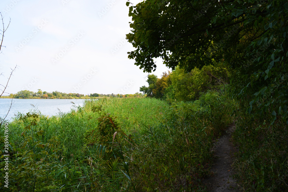 Beautiful view of the Samara River with picturesque steep banks and coast, trees, greenery and rich sky. Bright and unforgettable nature in the housing estate, Shevchenko, Dnipro, Ukraine.