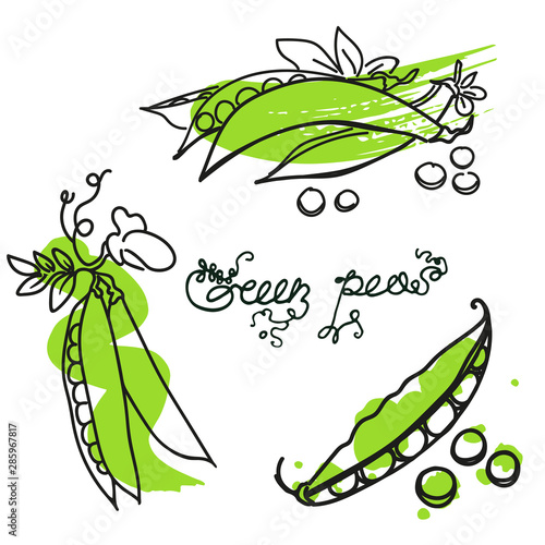 Set gree peas with green blot. Hand drawn sketch graphics elements