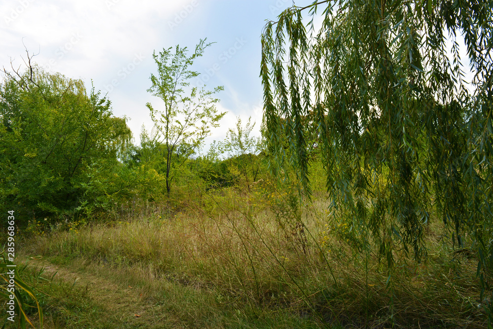 Beautiful natural background with an unusual landscape and forest beauty near the Samara River. Green hills, trees, shrubs with bright sky in the Shevchenko housing estate, Dnipro city, Ukraine. Beautiful natural background with an unusual landscape and forest beauty near the Samara River. Green hills, trees, shrubs with bright sky in the Shevchenko housing estate, Dnipro city, Ukraine.
